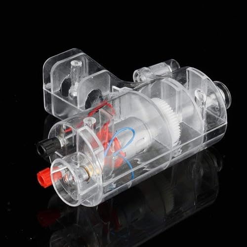 Manual Crank Generator Model Electronic Mechanical Power Physics Hand Crank Generator Hand Crank AC and DC Generator Hand Cranked Three-Phase DC Generator Clear Hand Crank - Image 6