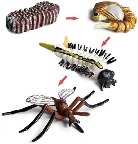 Life Cycleinsects Toys - 6Pcs Educational Figurine Set Ladyybuges - Image 6