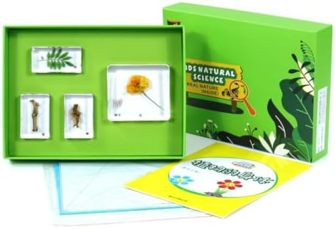 harayaa Children Learning Educational Kit with Resin Sample Blocks Tray Box Cards and Printed Organized Biology Collection, Array, Plant Body by Unknown