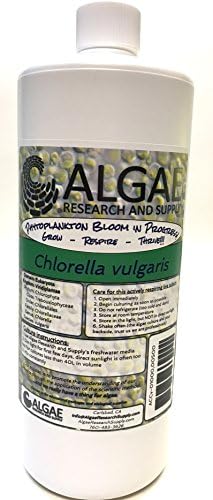Algae Research Supply Algae Culture Chlorella Vulgaris, Perfect for School Science Fairs/Projects, Experiments & Classrooms (1000ml) by Algae+Research+and+Supply