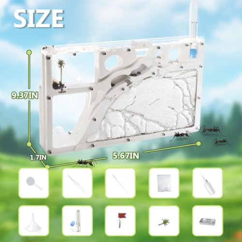 Ant Farm Kit for Kids, Large Ant Farm with Sand, Ant Colony Observation Kit - Image 4