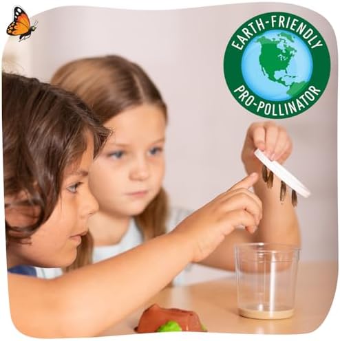 Insect Lore 2 Cups of Caterpillars Basic - 10 Live Baby Painted Lady Caterpillars - Refill for Habitat Kit - Caterpillars and Food Included - Image 3