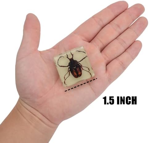 Insect Specimen Set, Bugs Collection Scientific Education Gift for Kids Aged 3-8-12 (12 Pack Glow-in-The-Dark) - Image 6