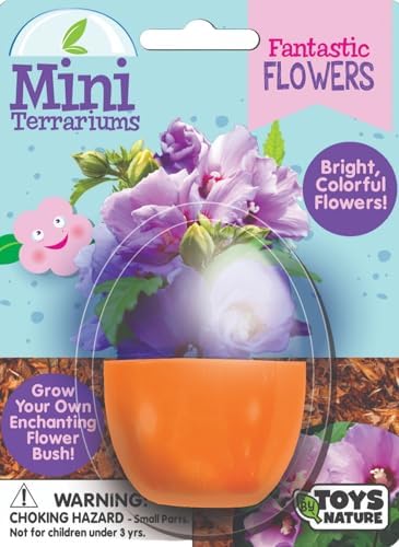 Toys By Nature Mini Terrarium Flowering Bundle, 100% USA Made Complete Starter Kit Includes 2 Each of Lobelia, Dixie Belle Hibiscus, Rose of Sharon, Easy to Grow Planting Seeds Just Add Water - Image 3