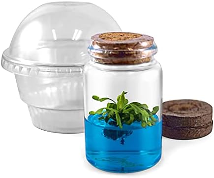 Venus Flytrap Kit, Live Venus Fly Trap Terrarium Included/DIY Beginner Friendly Starter Kit, Educational Growing Plant, Exotic Native by Bloomify