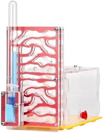 Nest Display Box, Habitat for Scientific Observation, Children's Day Gift, Red by Unknown