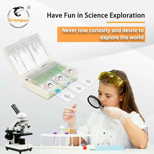 30 Prepared Microscope Slides with Specimens for Kids Students - Plants, for Biological Science Lab, Children's Science Education, Homeschooling Use - Image 4