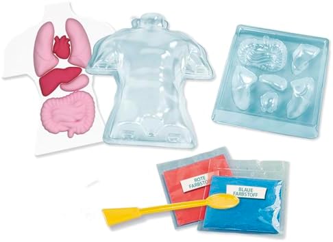 Galileo Laboratory Anatomy Lab – Interactive Educational Game for Anatomy Exploration – Experiments for Children from 8 years of age by Clementoni 59441 - Image 7