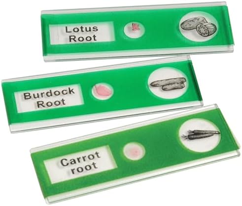 Prepared Microscope Slides for Kids – 12 Plastic Vegetable Specimens with Labels & Images – Safe, Durable Biology Science Kit for Students Ages 8+ - Image 3