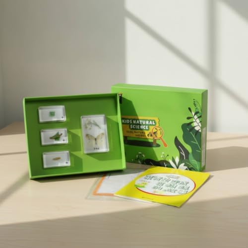 kowaku Children Learning Biology Kit with Resin Sample Blocks Tray Box Cards and Study Sheets Organized Display Suitable for Classroom Homeschool Self, Array, Plant Body - Image 4