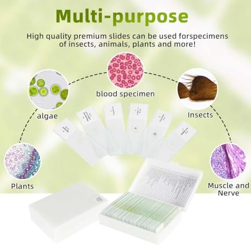 Microscope Slides with Specimens - 60 Prepared Slides for Kids, Teens & Adults, Biology & Microbiology Learning Kit (10 Microscope Slides with Specimens) - Image 2