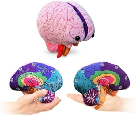 GIANTmicrobes Brain Model Anatomy Plush with Embroidered Details by GIANTmicrobes