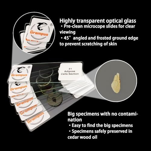 30 Prepared Microscope Slides with Specimens for Kids Students - Insects, for Biological Science Lab, Children's Science Education, Homeschooling Use - Image 3
