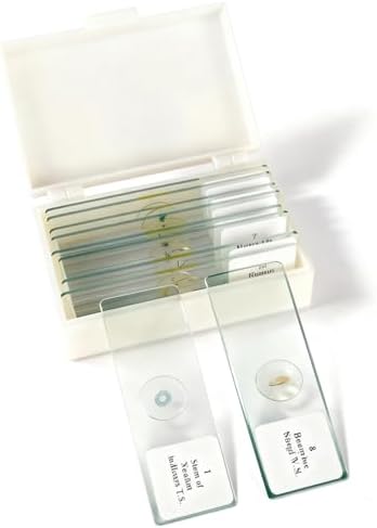 Microscope Slides with Specimens - 60 Prepared Slides for Kids, Teens & Adults, Biology & Microbiology Learning Kit (10 Microscope Slides with Specimens) by Unknown