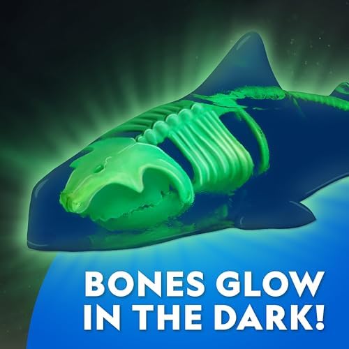National Geographic Glow-in-the-Dark Shark Dissection Kit for Kids - Image 3