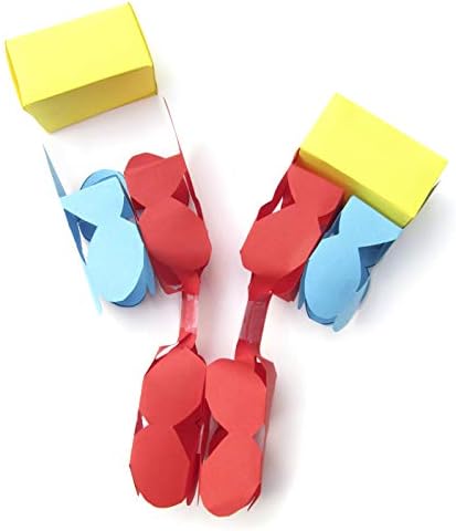 NewPath Learning Antibodies 3-D Paper Model Making Kit, Set/5 Full-Color, Paper Model Templates & Teacher Guide (24-7770) by NewPathLearning