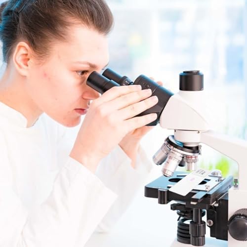 Prepared Microscope Slide Glass Specimen for Biology Observation - Image 6