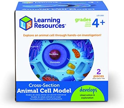 Learning Resources Cross-Section Animal Cell Model - Image 2
