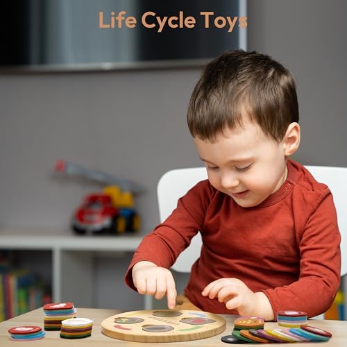 Woodtoe Life Cycle Toys, 12 Themes Montessori Science Toys for Kid Ages 3-6 - Image 2