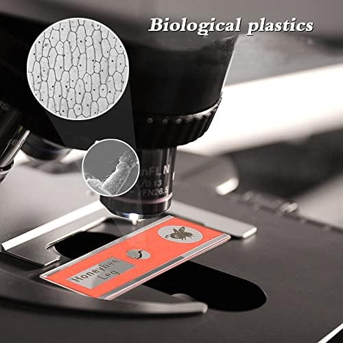 Prepared Plastic Microscope Slides with Specimens for Kids, Microscope Sample Slides Full Range of Animal/Plant/Insect/Blood Biology Slides Gift Set for Kids Microscope (60PCS) - Image 4