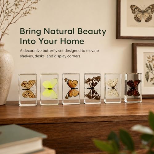 6pcs Real Butterfly Specimen,Taxidermy Butterfly Collection in Resin - Image 4