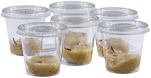 Insect Lore Butterfly Garden - Pavilion School Kit with 33 Live Caterpillars - 2ft Tall Habitat, STEM Activity Journal, Cups & Tools Included - Immersive Classroom Life Cycle Learning