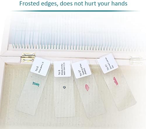 Biological Slides Microscope Slides for Kids Biology Lab Sample with Insect Plants Flower Microorganism for Homeschool Use Science Education-100 pcs - Image 4