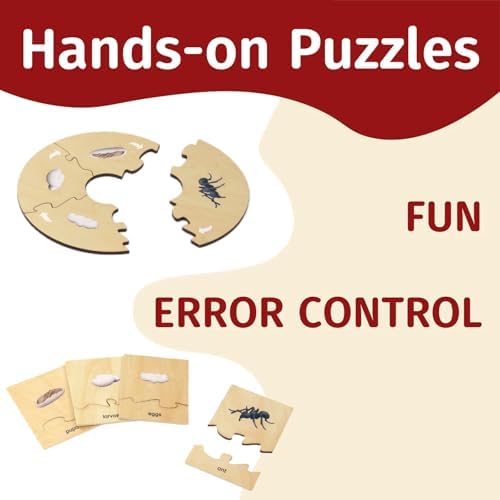 ancona Life Cycle- Ant, English Monolingual, Montessori Preschool Memory Matching Game Box Set with Animal Figurines & Matching Puzzle Cards, Early Education Toy - Image 3