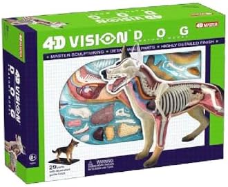 Tedco 4D Vision Dog Anatomy Model - Image 4