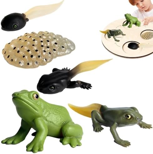 Life Cycleinsects Toys - 6Pcs Educational Figurine Set Ladyybuges by Unknown