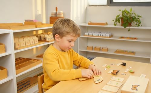 ancona Life Cycle- Butterfly, English Monolingual, Montessori Preschool Memory Matching Game Box Set with Animal Figurines & Matching Puzzle Cards, Early Education Toy - Image 4