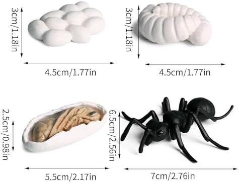 Life Cycleinsects Toys - 6Pcs Educational Figurine Set Ladyybuges - Image 4