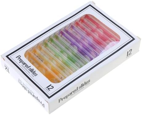 12pcs for Stereo Microscopes Kids Prepared Microscope Slides of Animals Flowers Sample Specimens - Image 3