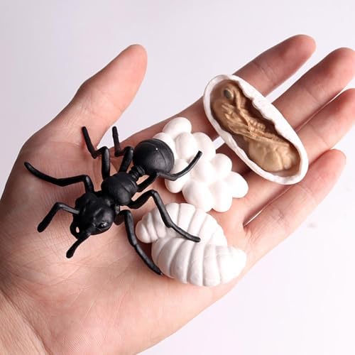 Life Cycleinsects Toys - 6Pcs Educational Figurine Set Ladyybuges - Image 5