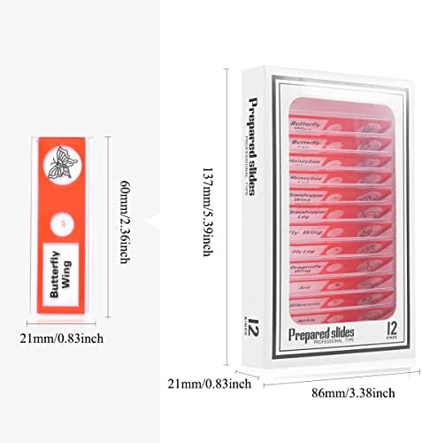 60pcs Plastic Prepared Microscope Slides - Image 5