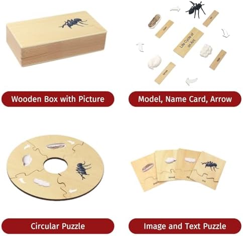 ancona Life Cycle- Ant, English Monolingual, Montessori Preschool Memory Matching Game Box Set with Animal Figurines & Matching Puzzle Cards, Early Education Toy - Image 2