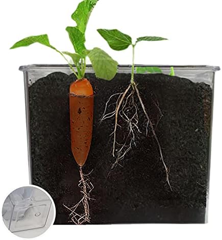 Plant Pots Indoor for Indoor, Children's Plant Growth Observation, Small Potted Plants with Transparent Roots, Vegetable Toy Set - Image 3