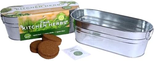 Buzzy Seeds Kitchen Herb Grow Kit, Metal Planter, Basil Cilantro Chives - Image 4
