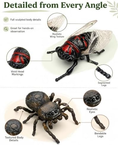 2-Pack Wind-Up Beetle Toy, Movable Head & Tail Bug(Summer Cicada+Spider) - Image 2
