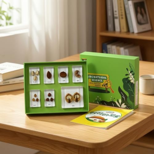 harayaa Children Learning Specime Biology Kit with Resin Sample Blocks Observation Tray Display Box Learning Cards Resin Build with Organized compartments, Delicious Nuts - Image 4