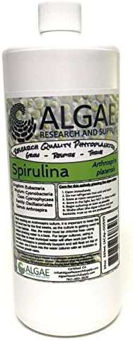 Algae Research Supply Algae Culture Spirulina, Perfect for School Science Fairs/Projects, Experiments & Classrooms (1000mL) by Algae+Research+and+Supply