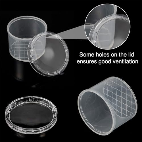 Sumind 20 Pcs Critter Keeper Bug Magnifier Insect Container with Lid - Bug Catcher Cage Science Nature Exploration Tools for Outdoor Adventure and School Field Trips - Image 3