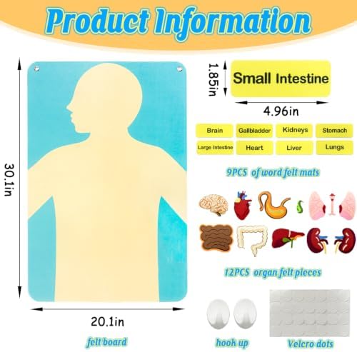 Human Body Parts Felt Board Stories for Kids, Body Model Teaching Puzzle - Image 3