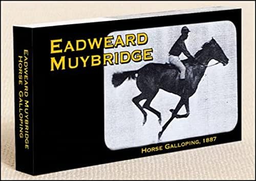 Muybridge Elephant Flipbook for Kids 6-12, Animation Flip Book for Children - Image 5
