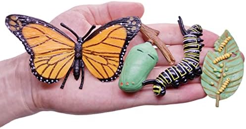 Montessori Life Cycle Animal Figures with Flash Cards, Plastic Insects Monarch Butterfly Kit Caterpillar Toy for Kids, Realistic Animal Figurines (Butterfly) - Image 4
