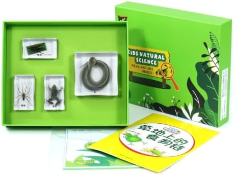 kowaku Children Learning Biology Kit with Resin Sample Blocks Tray Box Cards and Study Sheets Organized Display Suitable for Classroom Homeschool Self, Array, Food Chain On The Grassland by kowaku