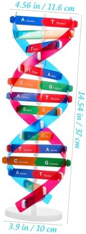 Kisangel DNA Kit Self Double Helix Model Kit Assembling DNA Display Stand Human Genes Learning Toy Biological Teaching Aid Science Molecular Model Kit - Image 2