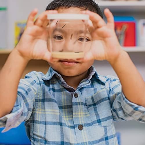 Insect Lore Butterfly Garden Kit – Live Caterpillar Habitat with Pre-Paid Voucher and Pop-Up Habitat– STEM-Accredited Butterfly Growing Kit for Kids, Classrooms, and Homeschool Learning