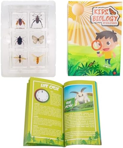 6 PCS Resin Insect Specimen Set, Butterfly, Jewel Frog Beetle, Silk Moth, Chafer, Stinkbug, Wasp, Science Education Toy for Kids - Image 5