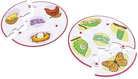 Junior Learning Life Cycle Science Puzzles - Educational Sequence Game - Image 4